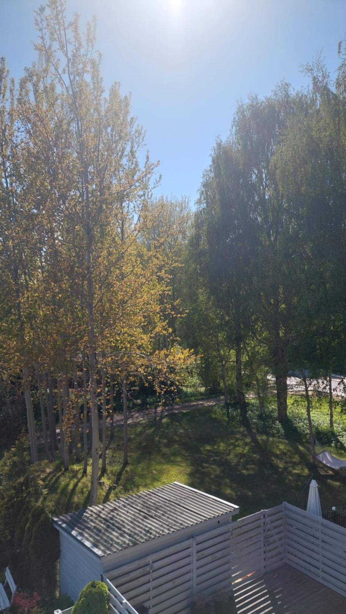 Pas Rasa Hotel Palanga Bagian luar foto